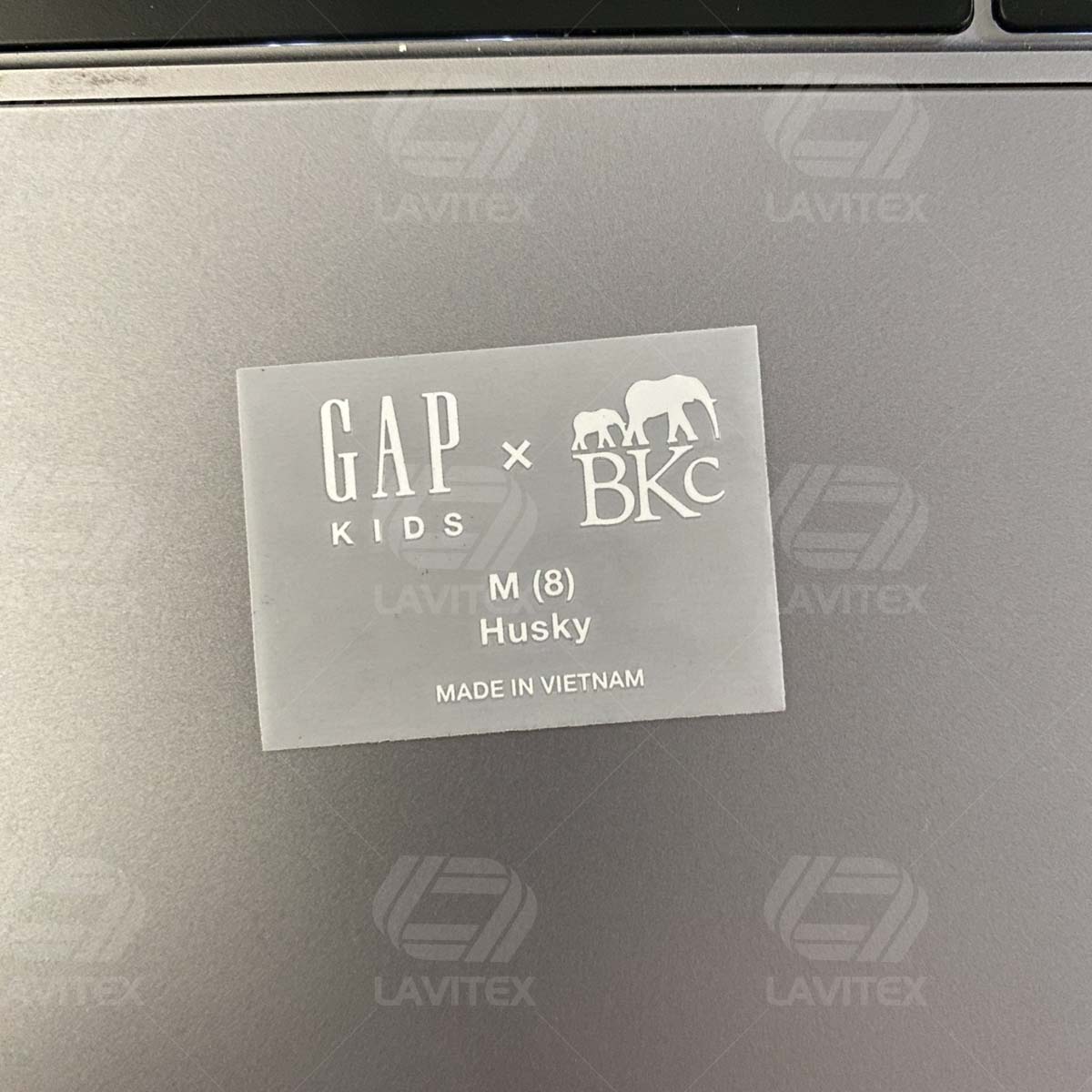 In tem mac lavitex dich vu in tem pet chuyen nhiet lavitex 221108 3