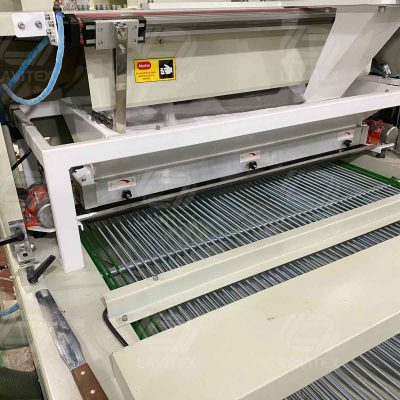 dich vu in tem pet chuyen nhiet lavitex 221231 43